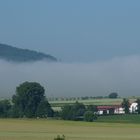 Sommermorgennebel