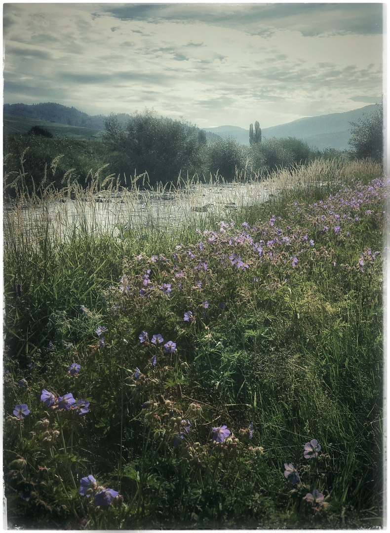 sommermorgenspaziergang