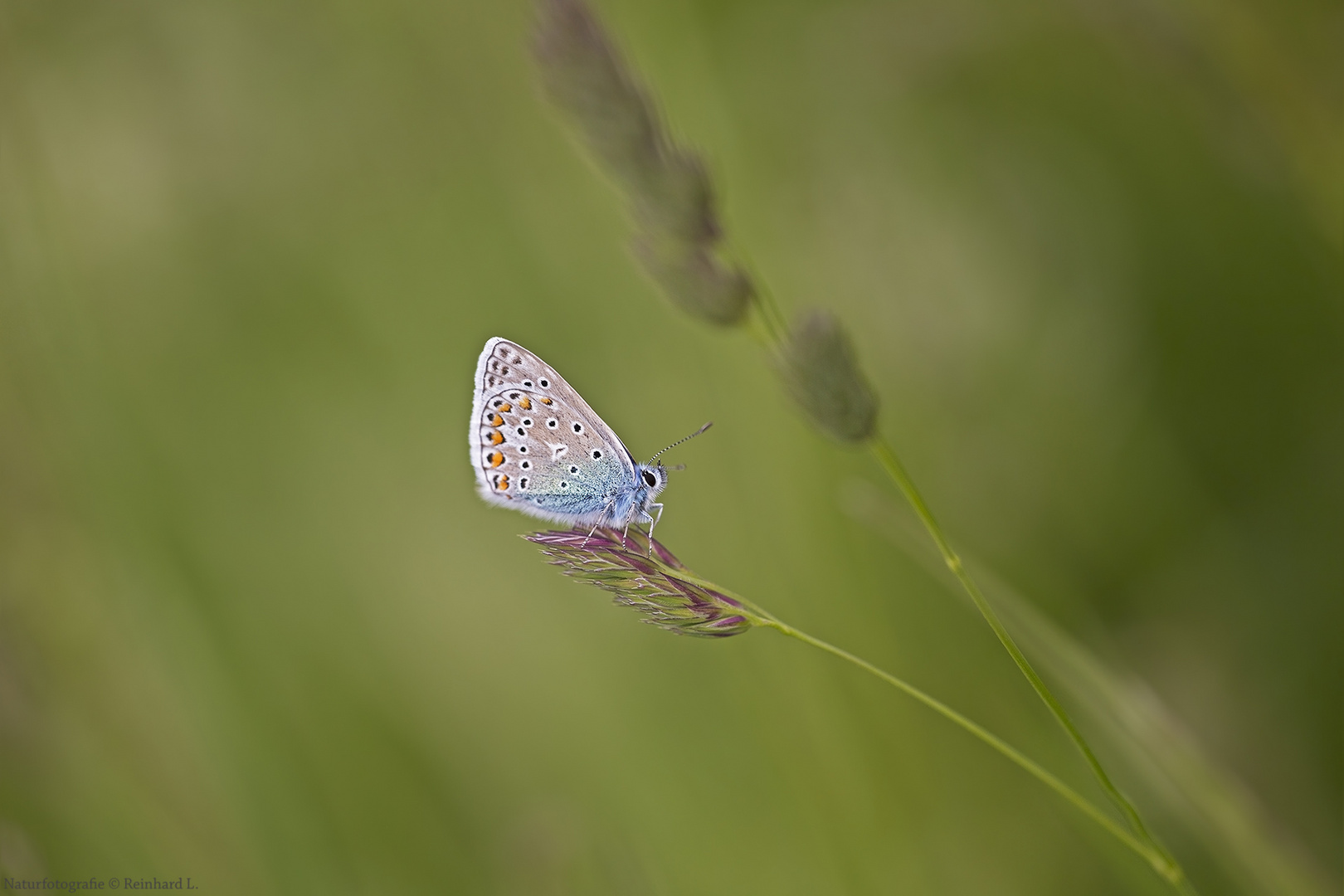  Sommernachlese 2018 / 20