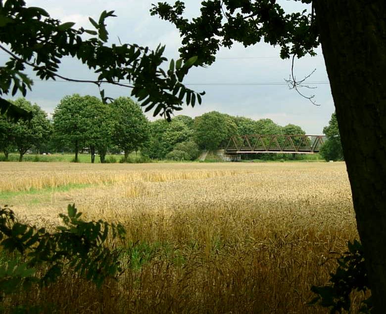 Sommernachmittag 2