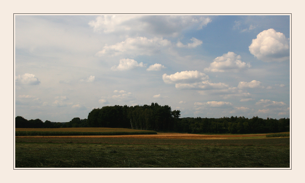 Sommernachmittag...