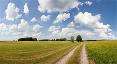 Sommernachmittag