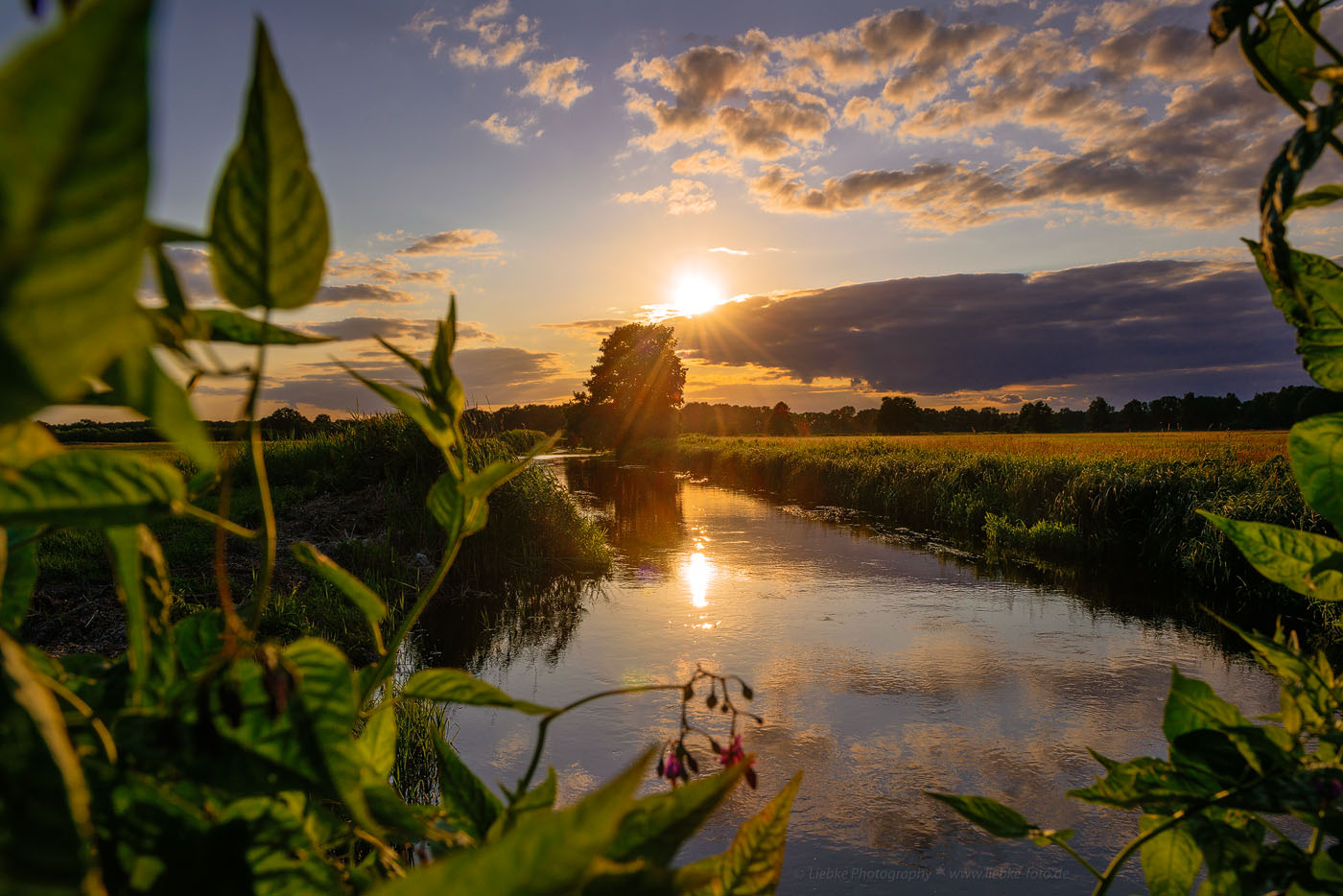 Sommernachmittag an der oberen Havel