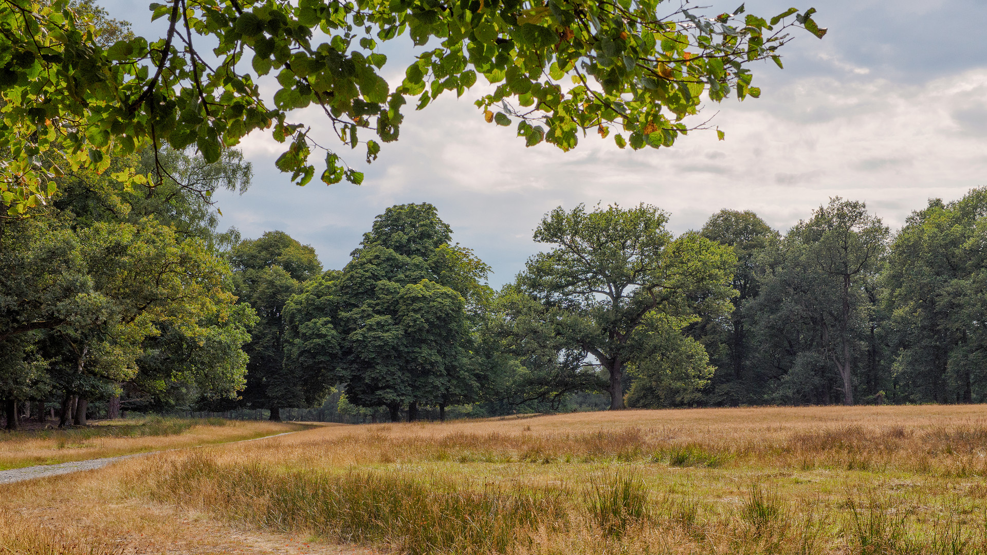 Sommernachmittag im Park