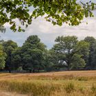 Sommernachmittag im Park