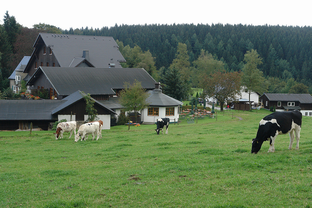 Sommernachmittag im Sauerland