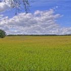 Sommernachmittag in der Oberpfalz (3)