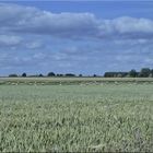 Sommernachmittag in der Oberpfalz