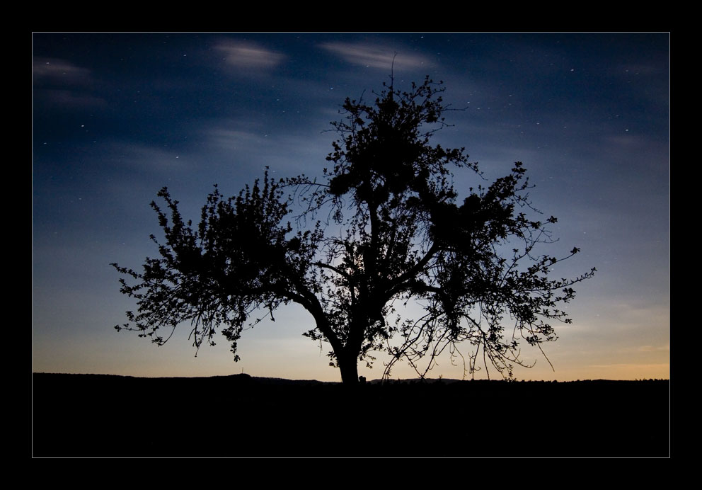 Sommernacht Foto &amp; Bild | landschaft, naturlandschaft bei nacht, natur ...