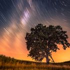 Sommernacht im Kornfeld