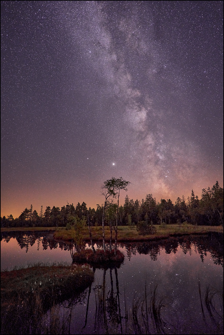 Sommernacht im Moor