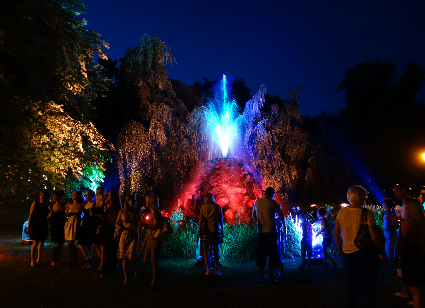 Sommernacht im Park