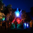 Sommernacht im Park