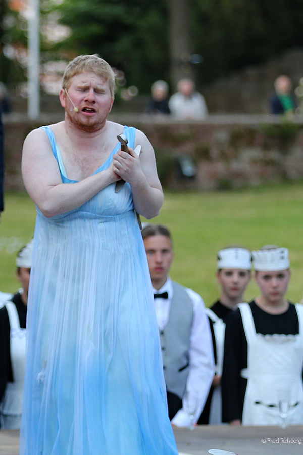 Sommernachts-Träumereien Bad Hersfelder Festspiel 2015 1623