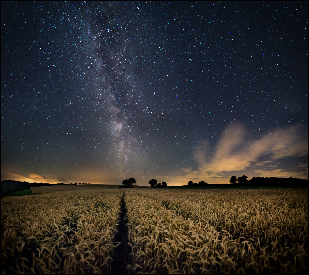 Sommernachtsträume