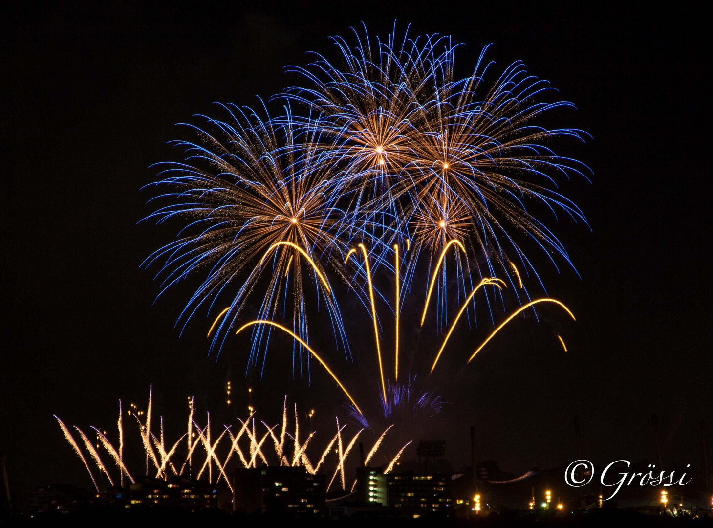 Sommernachtstraum München 2015 #6