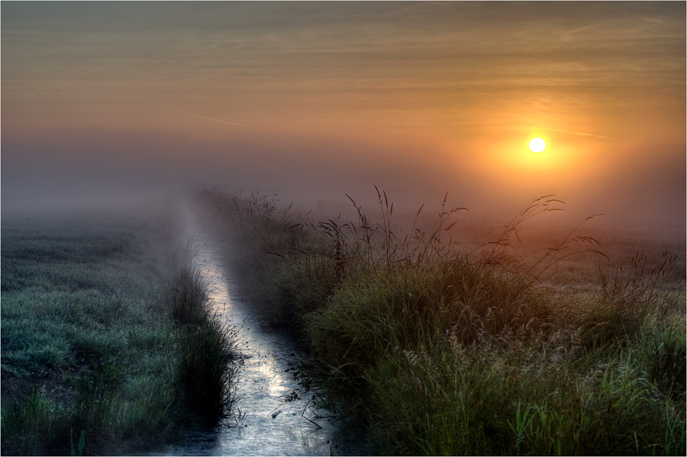 Sommernebel