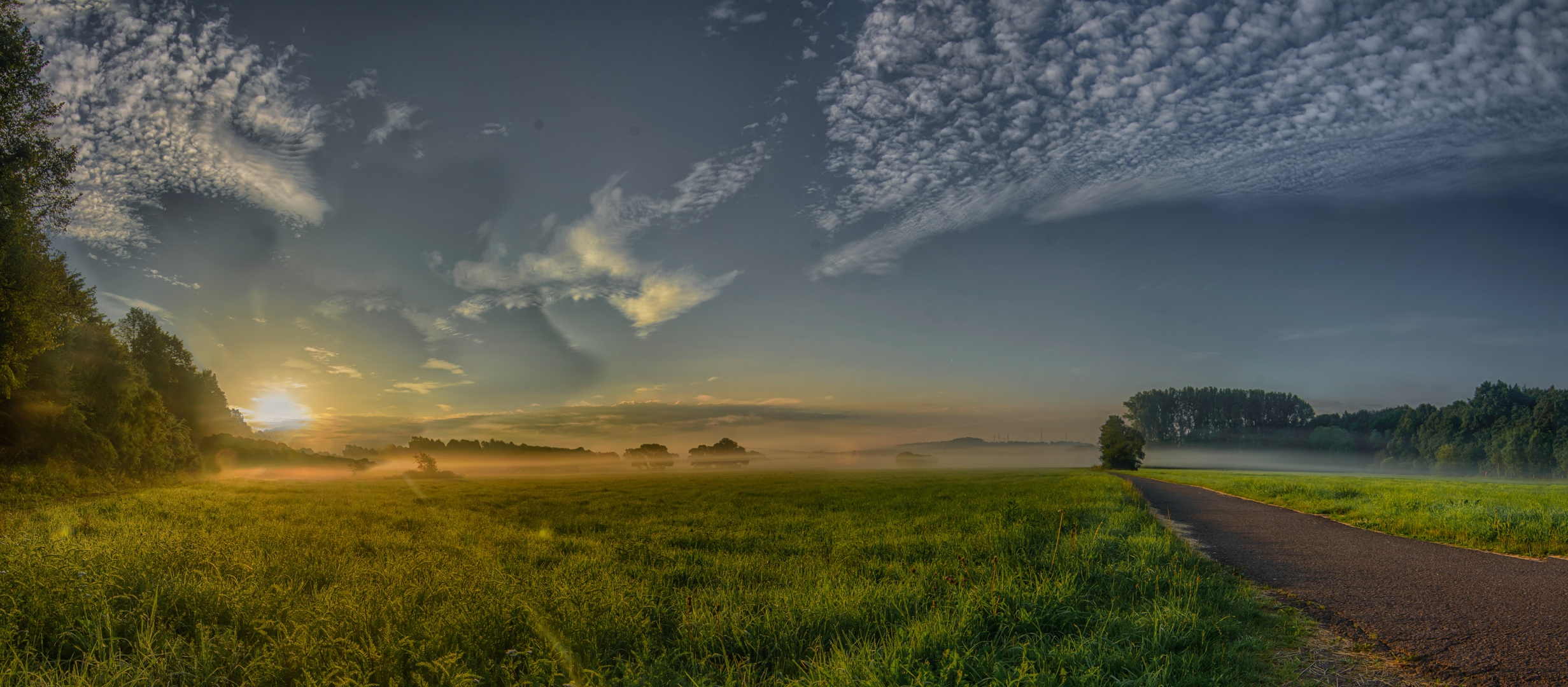 Sommernebel