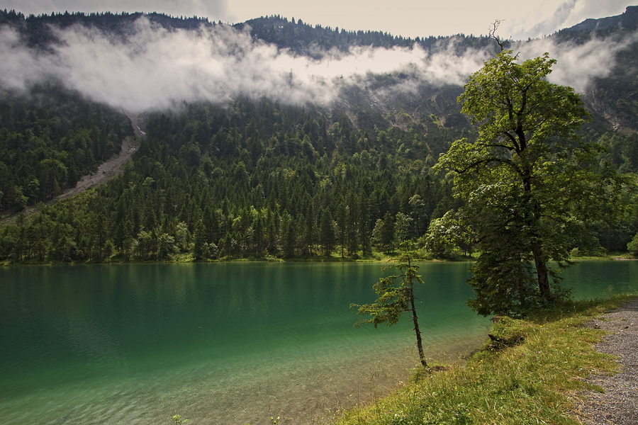 Sommernebel am Plansee