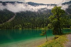 Sommernebel am Plansee