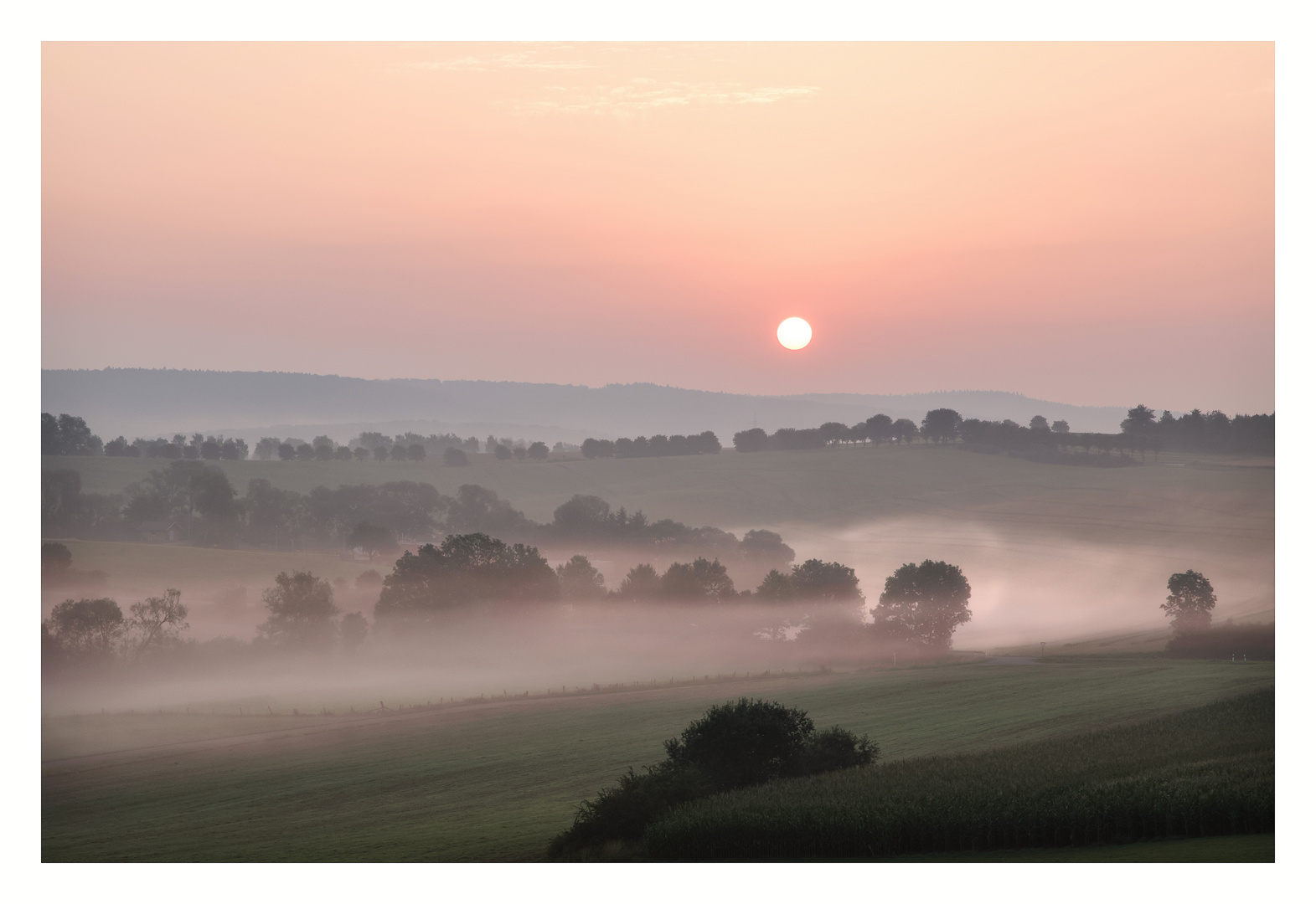 Sommernebel