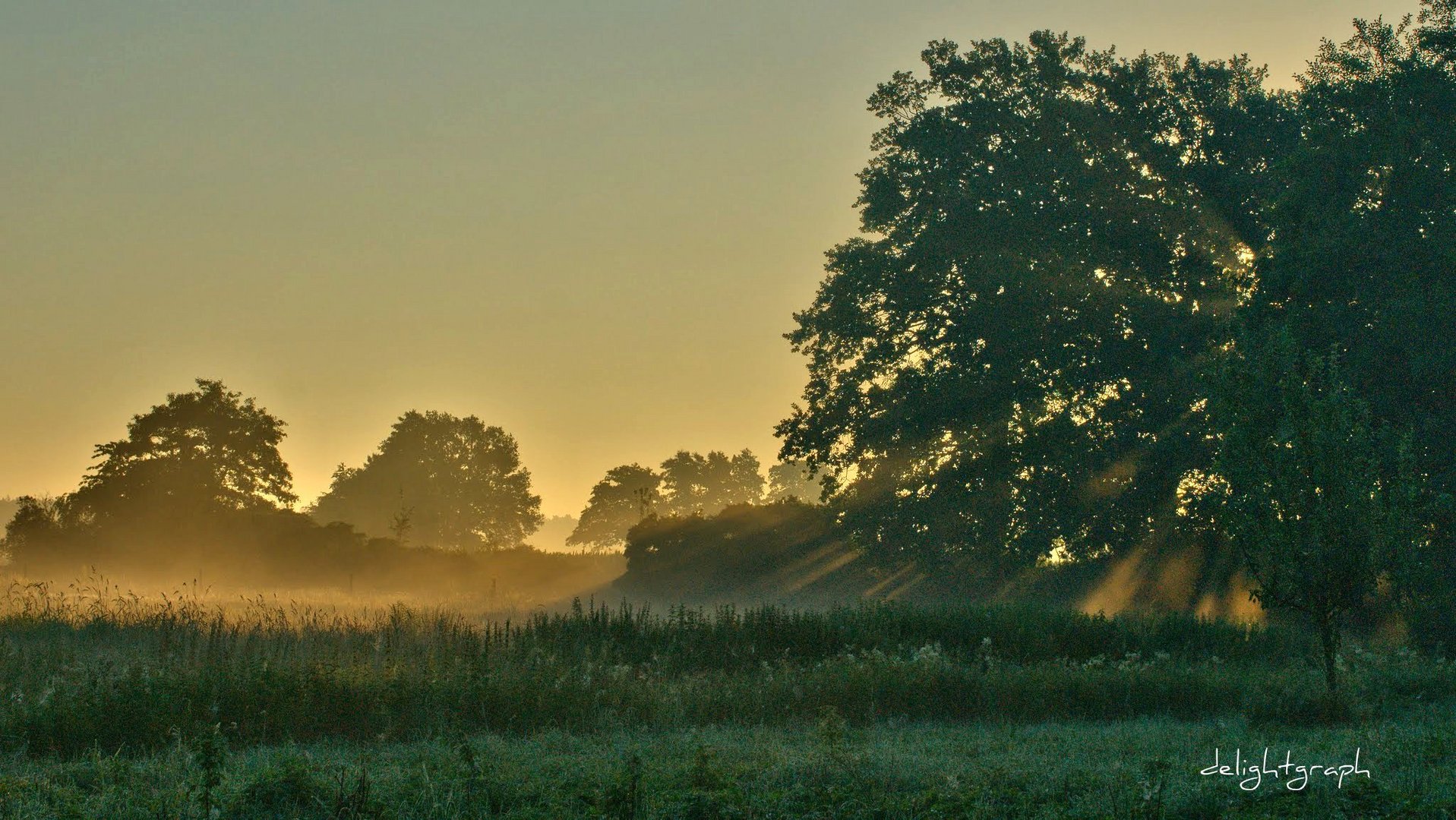 Sommernebel - Fog in summer