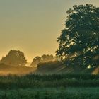 Sommernebel - Fog in summer