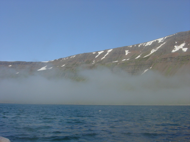 Sommernebel in Sudureyri (Island, Westfjorde)