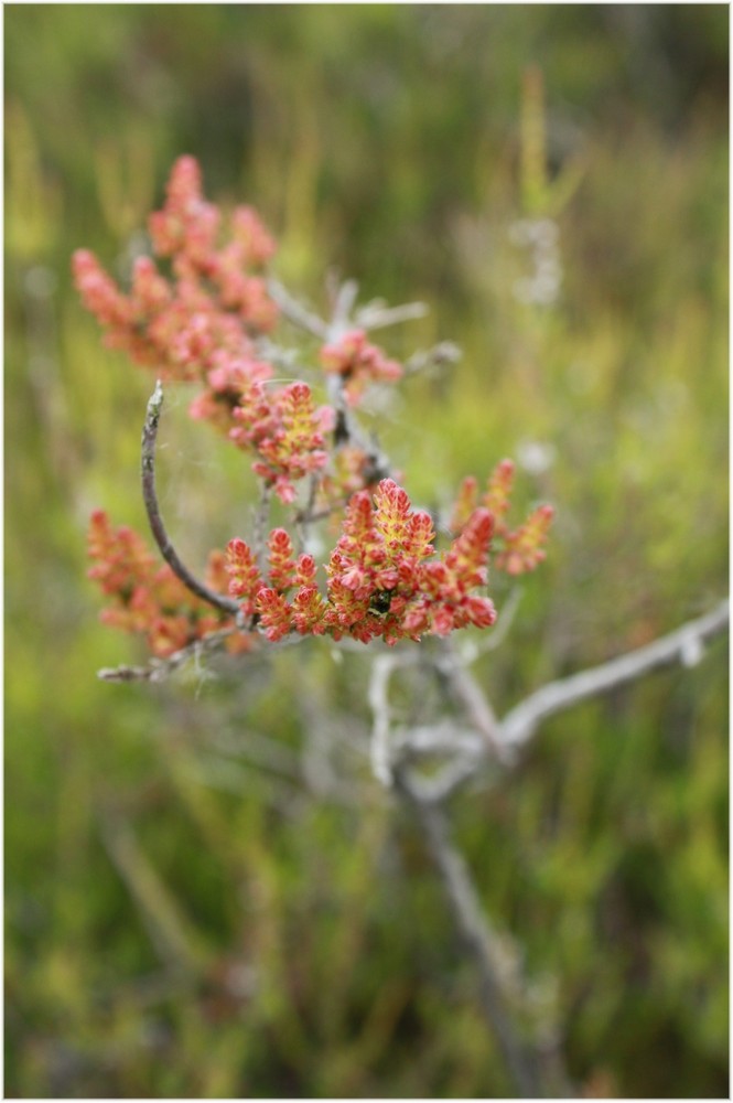 sommeroderherbstoderwas.