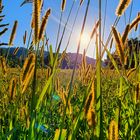 Sommerpause Dietikon Aargau Schweiz 