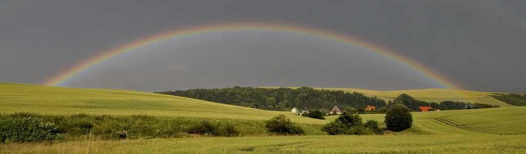 Sommerregen