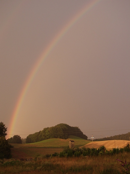 Sommerregen