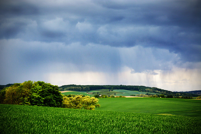 Sommerregen