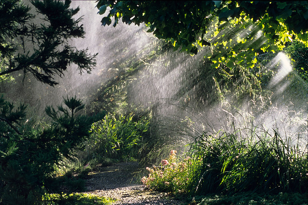 Sommerregen im Garten