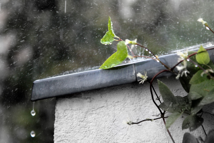 Sommerregen in Berlin (2016)