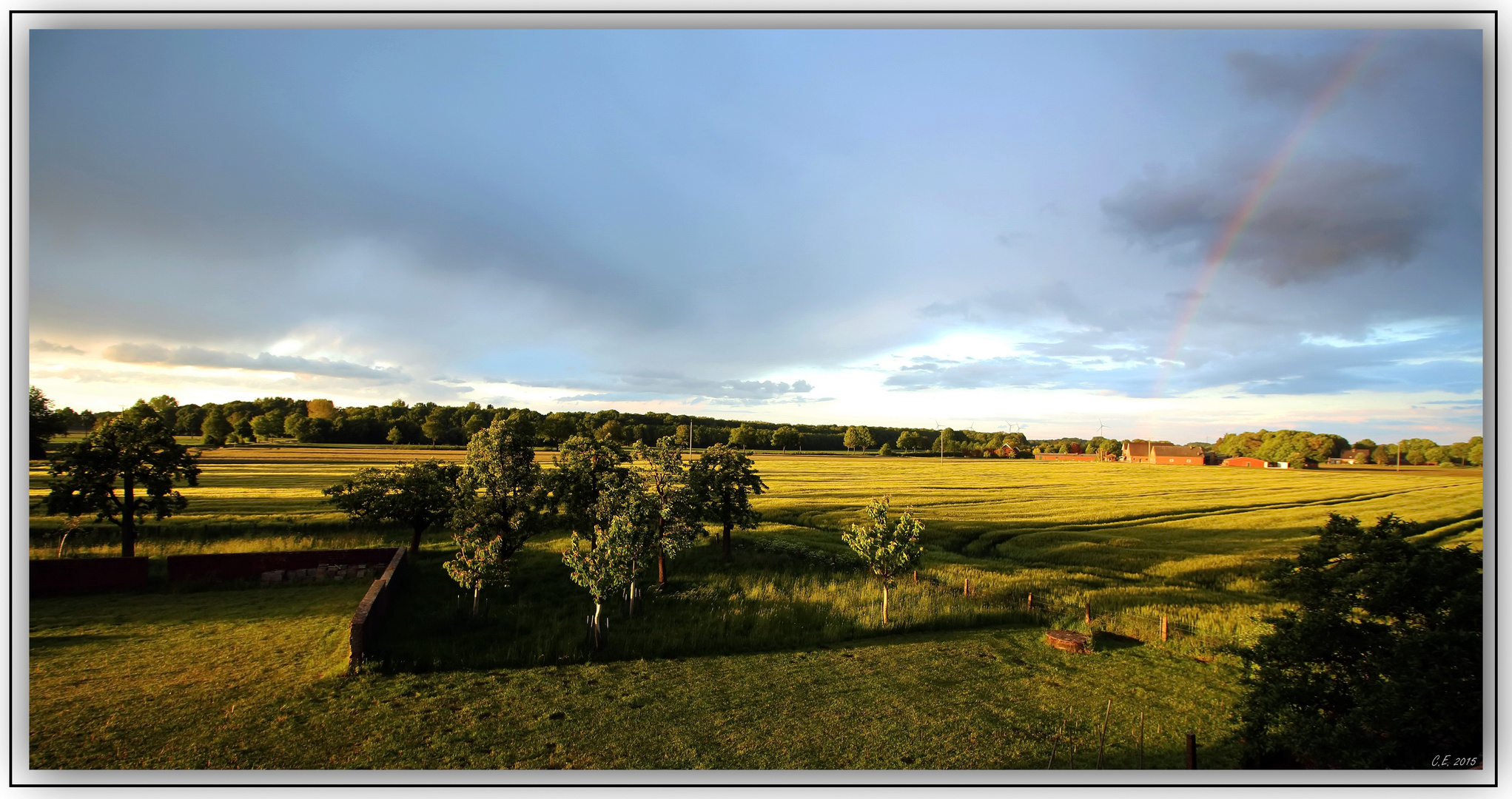 Sommerregen in Münsterland 1