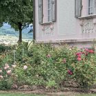 Sommerresidenz im Garten von Stift Melk