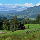 Sommerrodelbahn