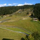 Sommerrodelbahn in Sankt Englmar