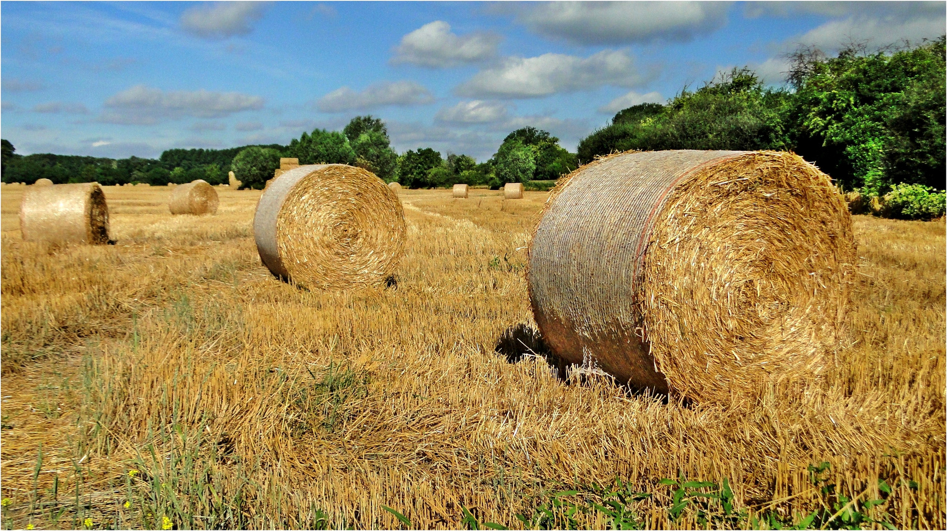 Sommer(rückblick)