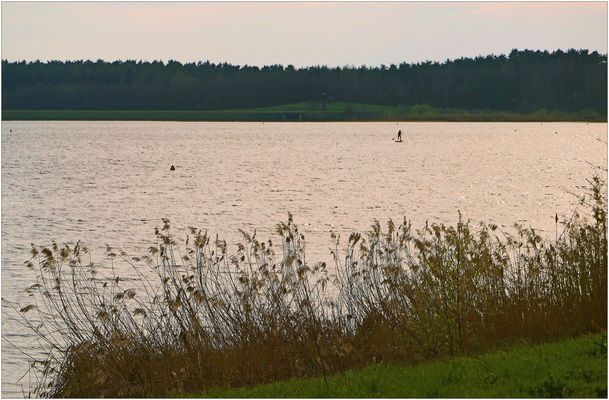 Sommerrückblick gefällig?