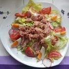 Sommersalat mit Thunfisch