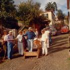 Sommerschlittenfahrt - Madeira