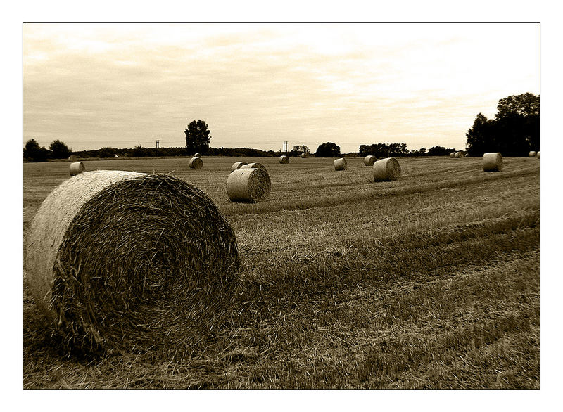 Sommerschlußverkauf