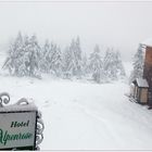 Sommerschnee auf der Tauplitzalm