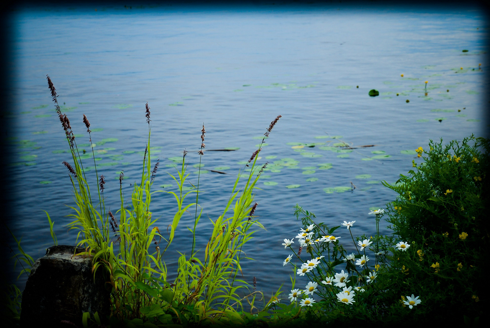 Sommersee