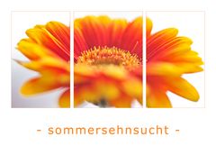 [..sommersehnsucht...]