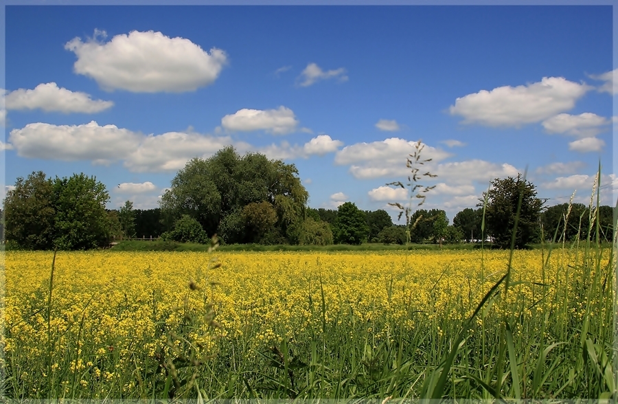 Sommersehnsucht