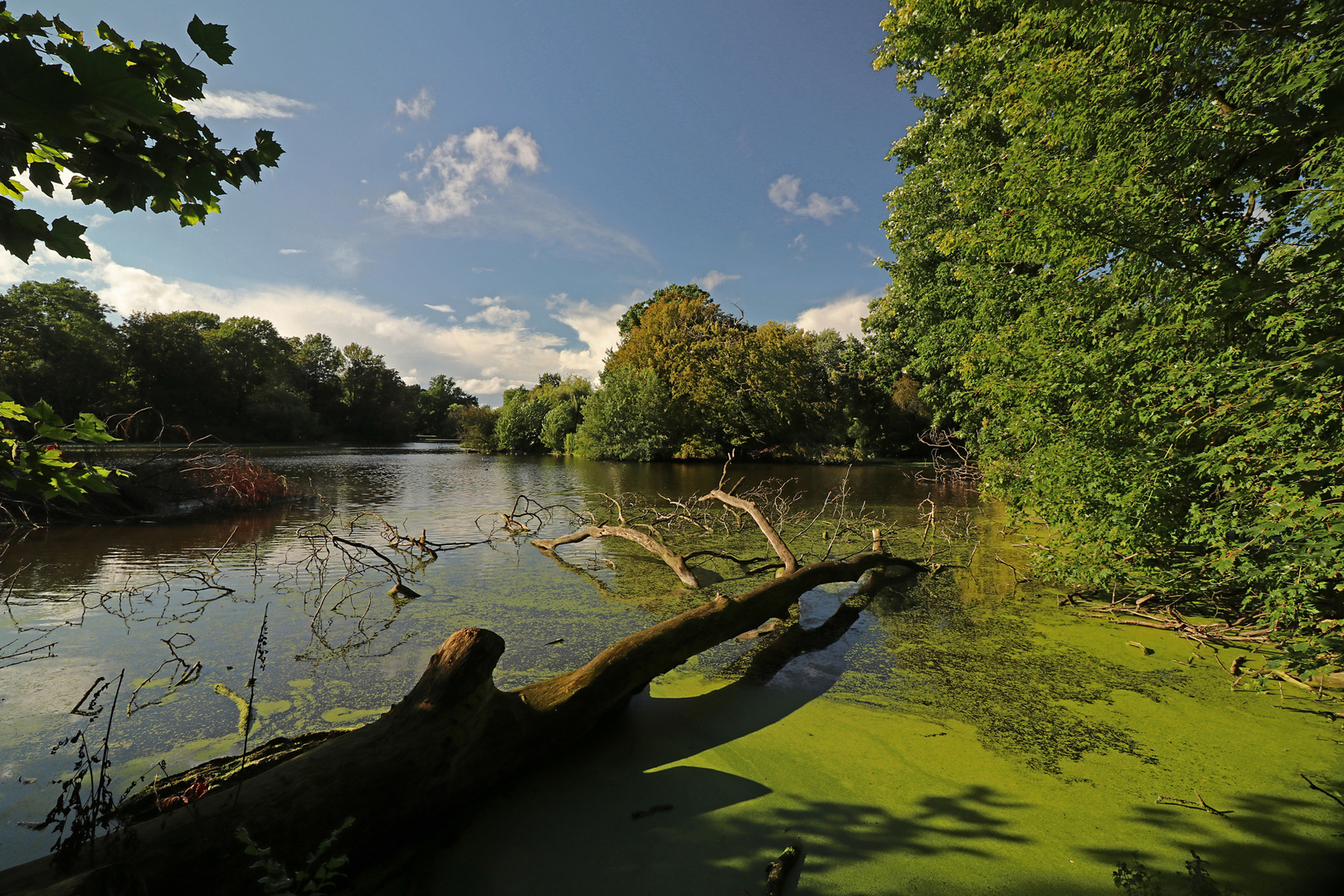 Sommersonne am Teich