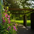 Sommersonne im Volkspark